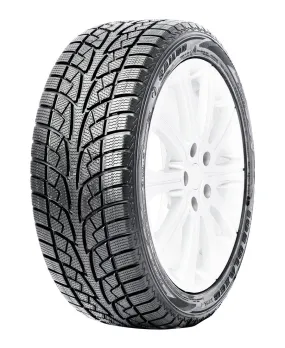Ice Blazer WSL2 - 225/45R17 94H