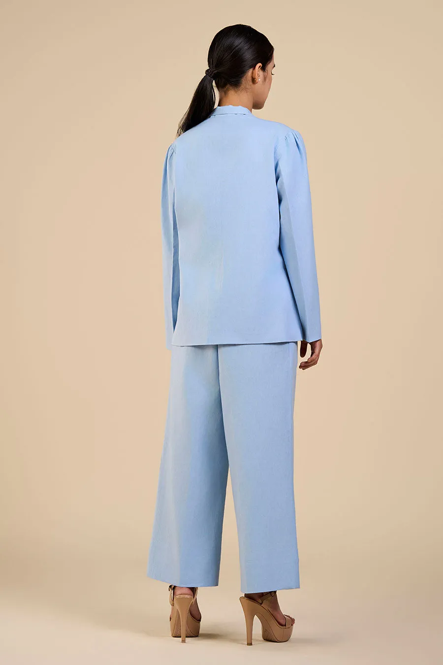 Ice Blue Cornflower Blazer & Pant Co-Ord Set
