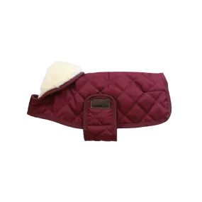 Kentucky Dog Coat- Bordeaux