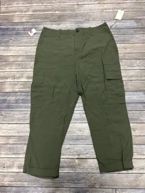 Pants Cargo & Utility By A New Day In Green, Size: 16