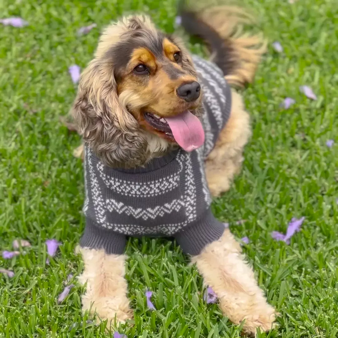 Winter Wonder Dog Jumper
