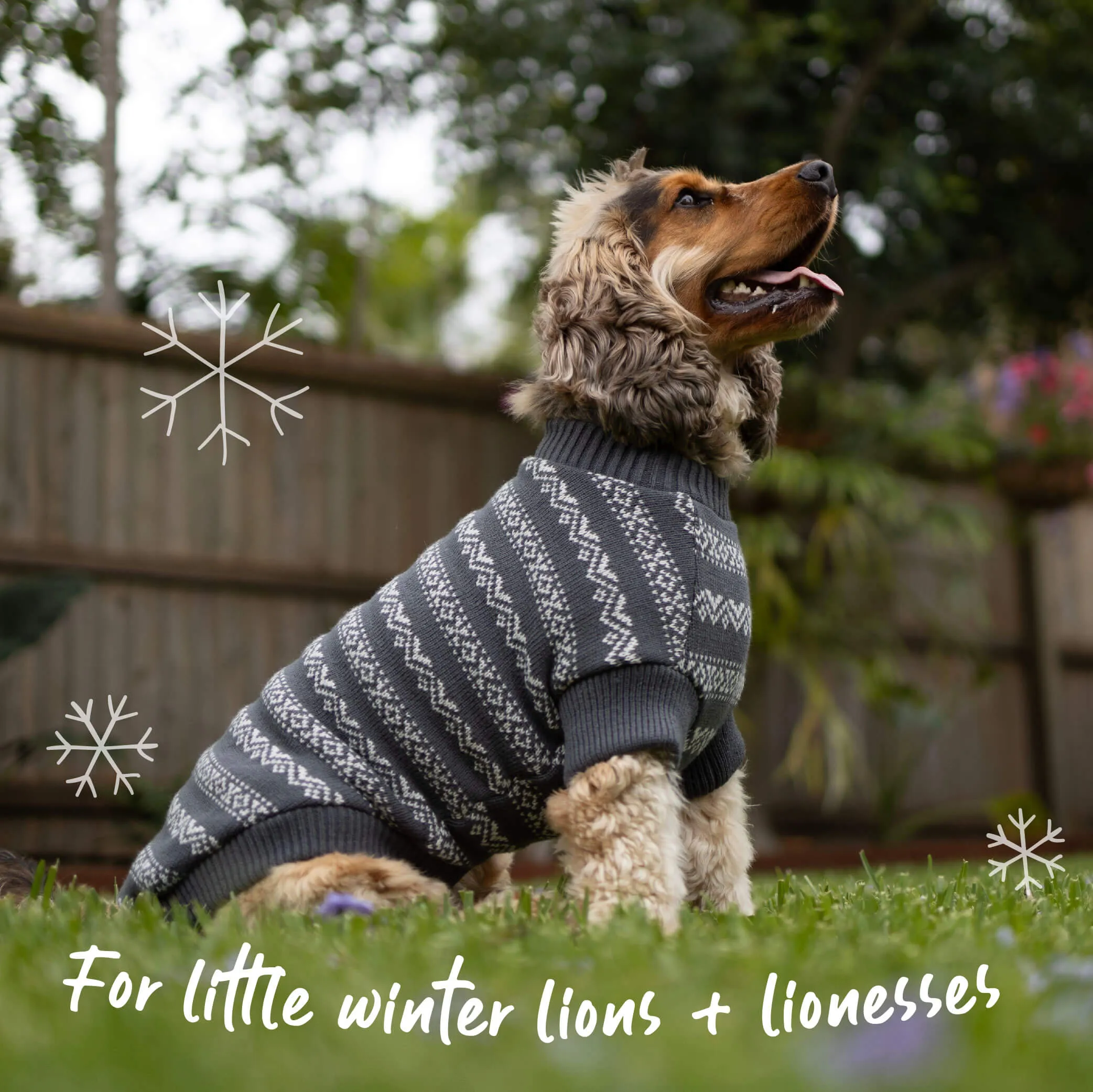 Winter Wonder Dog Jumper