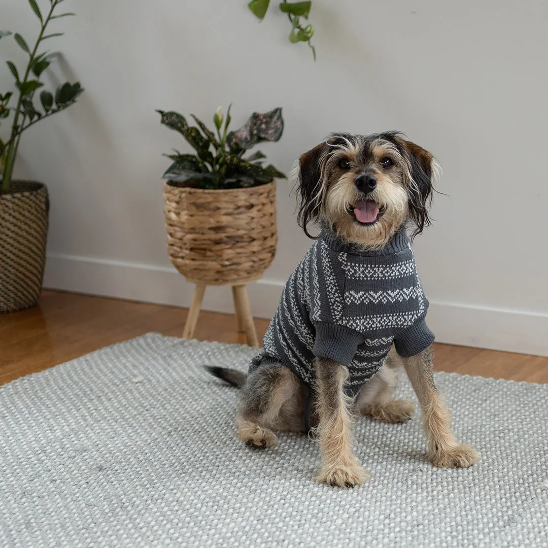 Winter Wonder Dog Jumper