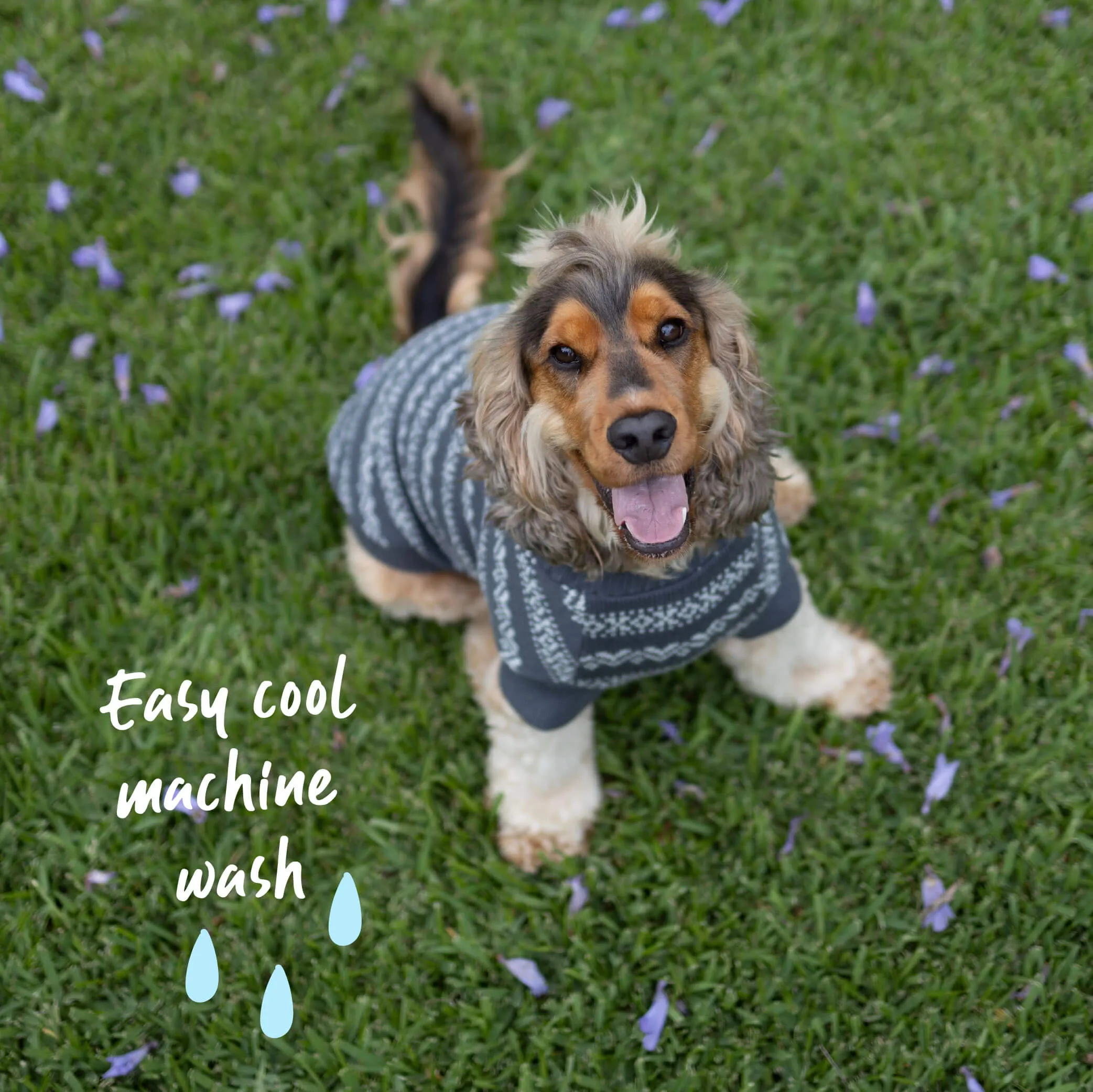 Winter Wonder Dog Jumper