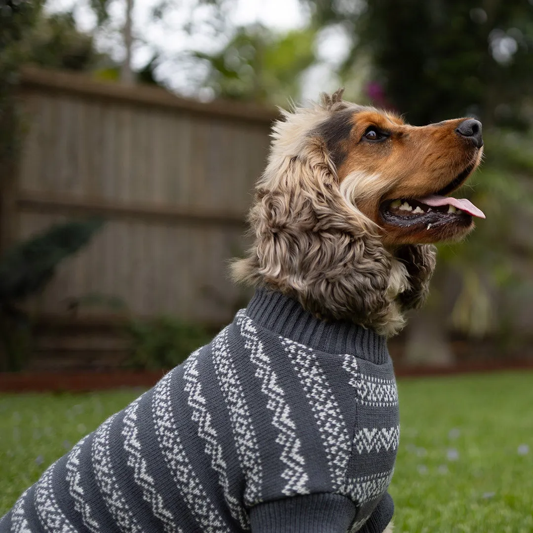 Winter Wonder Dog Jumper