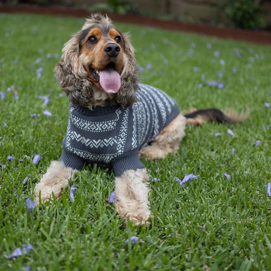 Winter Wonder Dog Jumper