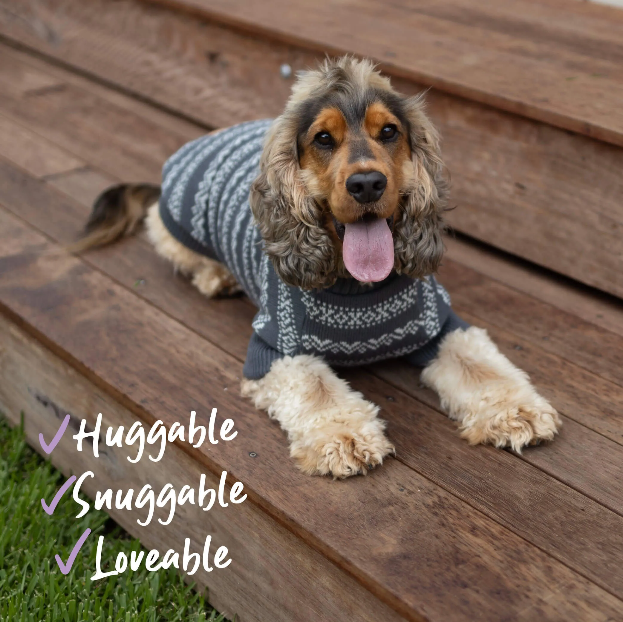 Winter Wonder Dog Jumper