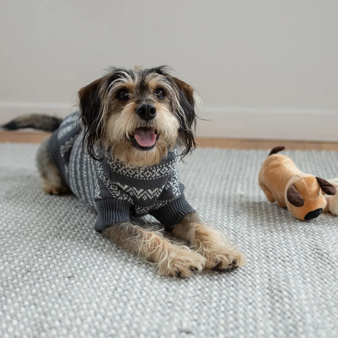 Winter Wonder Dog Jumper